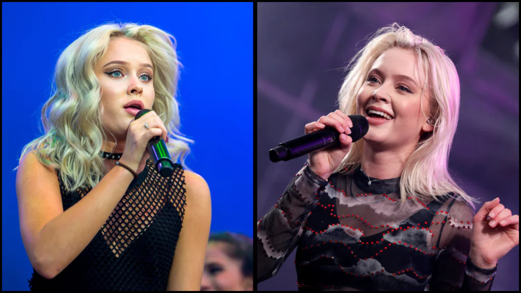 zara larsson net worth